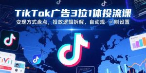 TikTok广告3位1体投流课,变现方式盘点,投放逻辑拆解,自动规则设置-壹浩聊项目