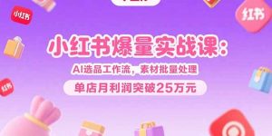 小红书爆量实战课:AI选品工作流,素材批量处理,单店月利润突破25万元-壹浩聊项目