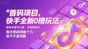 首码项目，快手全新0撸玩法，有快手就可以做，可矩阵放大，每天零碎时间搞个几张不是问题【揭秘】-壹浩聊项目