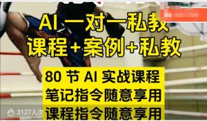 AI指令实战课，课程+案例，80节AI实战课程，笔记指令随意享用，课程指令随意享用(更新7月)-壹浩聊项目