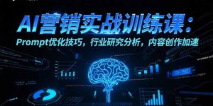 AI营销实战训练课:Prompt优化技巧,行业研究分析,内容创作加速-壹浩聊项目