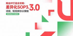 商业IP打造全攻略：差异化SOP3.0流程，短视频协议模板，婚恋项目实战案例-壹浩聊项目