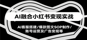 AI融合小红书变现实战课，AI客服搭建/爆款图文SOP制作/账号运营及广告变现等-壹浩聊项目