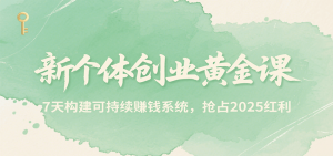 新个体创业黄金课,7天构建可持续赚钱系统,抢占2025红利-壹浩聊项目