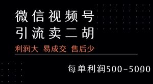 视频号卖二胡教程,利润大 易成交 售后少,一单利润5张+-壹浩聊项目