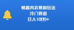 情趣内衣暴利玩法,冷门赛道,日入1k+-壹浩聊项目