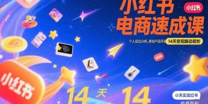 小红书虚拟电商速成课：个人定位分析，原创产品开发，14天变现路径规划-壹浩聊项目