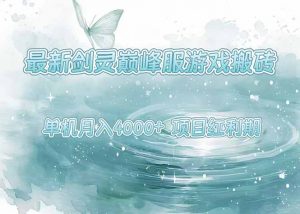最新剑灵巅峰服游戏搬砖,项目红利期,单机稳定4000+操作简单好上手-壹浩聊项目
