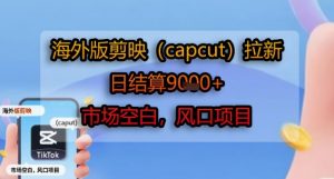 海外版剪映(capcut)拉新，日结算1k+，市场空白，风口项目-壹浩聊项目