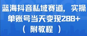 蓝海抖音私域赛道，实操单账号当天变现288+(附教程)-壹浩聊项目