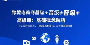 跨境电商基础+晋级+高级课:基础概念解析,Tk私域涨粉技巧,AI客服系统搭建-壹浩聊项目