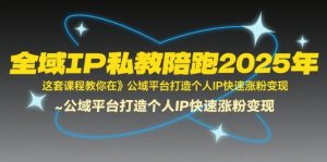 全域IP私教陪跑2025年，这套课程教你在公域平台打造个人IP快速涨粉变现-壹浩聊项目