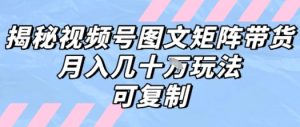 解密视频号图文矩阵带货，月入几个W的打法，可复制-壹浩聊项目