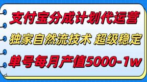支付宝分成计划代运营,独家自然流技术,收益稳定,单号月产5000+-壹浩聊项目
