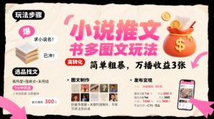 小说推文小红书多图文玩法，简单粗暴，万播收益3张-壹浩聊项目