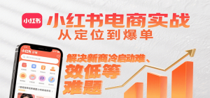 小红书电商实战,从定位到爆单解决新商冷启动难、变现效率低等难题-壹浩聊项目