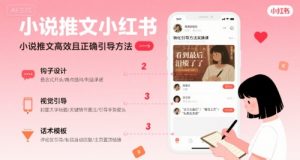 小说推文小红书高转化引导方法实操课，小说推文高效且正确引导方法-壹浩聊项目