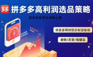 拼多多选品暴利技术实战课,拼多多高利润选品策略,拼多多限时低价标签秘诀-壹浩聊项目