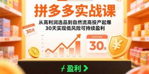 拼多多实战课:从高利润选品到自然流高投产起爆 30天实现低风险可持续盈利-壹浩聊项目