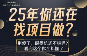 25年,你还在疯狂的找项目吗?别傻了,看完这个你都懂了【揭秘】-壹浩聊项目