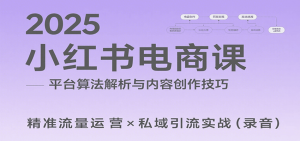 2025小红书电商课：解析算法，创作高转化内容，助力卖家获取流量实现变现(录音)-壹浩聊项目