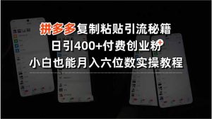 拼多多复制粘贴引流秘籍,日引400+付费创业粉,小白也能月入六位数实操…-壹浩聊项目