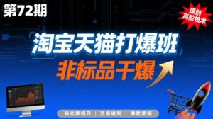 淘宝天猫打爆班原创高阶技术第72期,非标品干爆-壹浩聊项目