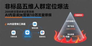 非标品五维人群定位法,2000款滚雪球运营策略,AI内容营销10万流量引爆-壹浩聊项目