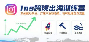 Ins跨境出海训练营,实战驱动玩法,打破不涨粉怪象,玩转社媒自然流量-壹浩聊项目