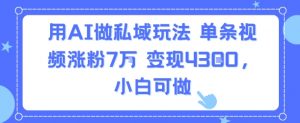 用AI做私域玩法,单条视频涨粉7W变现4.3k,小白可做-壹浩聊项目
