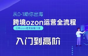 OZON入门到高阶全流程,从0-1助你出海,跨境ozon运营全流程-壹浩聊项目