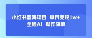 小红书蓝海项目 单月变现1w+ 全程AI 操作简单-壹浩聊项目