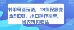书单号新玩法,13条视频变现5位数,小白操作简单,当天可见收益-壹浩聊项目