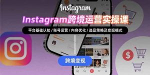 Instagram跨境运营实战:平台认知/账号运营/内容优化/选品策略及变现模式-壹浩聊项目