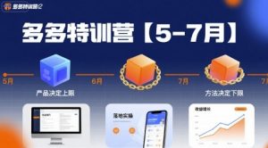 多多特训营【5-7月】产品决定上限，方法决定下限，各种玩法技巧落地实操-壹浩聊项目
