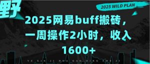 2025网易buff搬砖，一周操作2小时，收入1600+-壹浩聊项目
