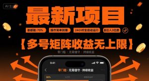 最新挂G项目：谁都能做，操作简单到爆，24 小时全自动运行，日入3位数，多号矩阵收益无上限【揭秘】-壹浩聊项目