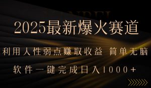 2025最新爆火赛道,利用人生弱点赚取收益,全程一键批量制作,小白轻松…-壹浩聊项目