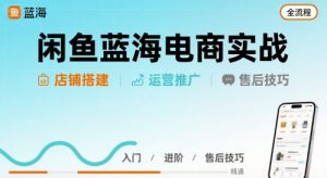 闲鱼蓝海电商实战,店铺搭建运营售后全流程-壹浩聊项目