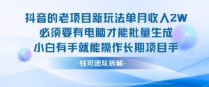 老项目新玩法单月收入2W小白有手就能操作长期项目-壹浩聊项目