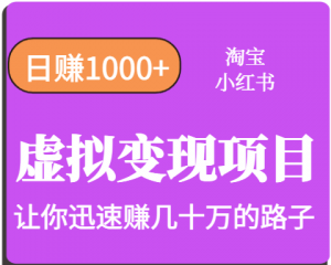 淘宝OR小红书虚拟变现,日赚1000+,多账号操作年收入几十W不等-壹浩聊项目