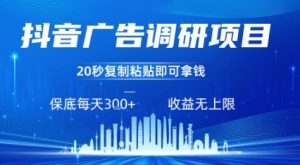 抖音广告调研项目，只需复制粘贴广告即可挣钱，任务不限量，一天稳定3张-壹浩聊项目