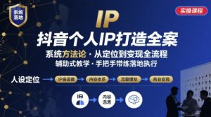 抖音个人IP系统落地实操大课,实操课程,辅助落地-壹浩聊项目
