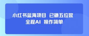 小红书蓝海项目,全程AI,操作简单,已挣五位数-壹浩聊项目
