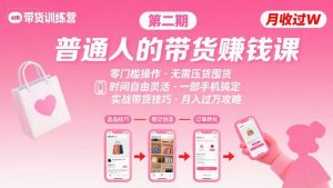 小红书带货第二期训练营,普通人月收过W的带货课,时间自由,零门槛无压货,一部手机即可操作-壹浩聊项目