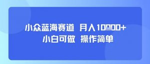 小众蓝海赛道,小白可做,操作简单,每天30分钟,月入1W+-壹浩聊项目
