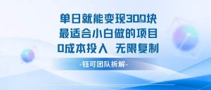单日就能变现3张最适合小白做的项目0成本投入 无限复制-壹浩聊项目