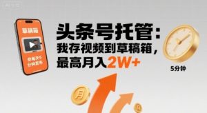 【头条号托管 】我存视频到草稿箱,你每天5分钟发布,最高月入2W+【揭秘】-壹浩聊项目