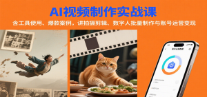 AI视频制作实战：含工具使用、爆款案例，讲拍摄剪辑、数字人批量制作与账号运营变现-壹浩聊项目
