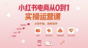 小红书电商从0到1实操运营课,从零开始,简单易学-壹浩聊项目